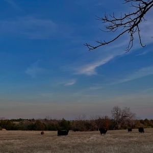 Meet your Posher, Jamison